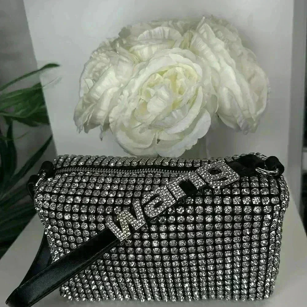 ✨ Alexander Wang Rhinestone Mesh Pouch - Picture 4 of 8